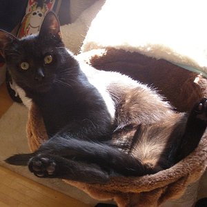 und ein recht aktuelles