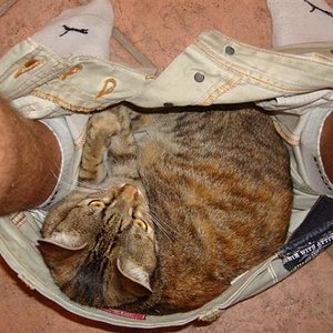 Man"n" kann nicht mal in Ruhe auf Toilette gehen.