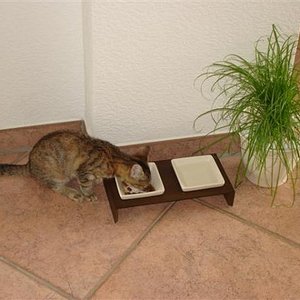 Erstmal richtig zuschlagen. :)