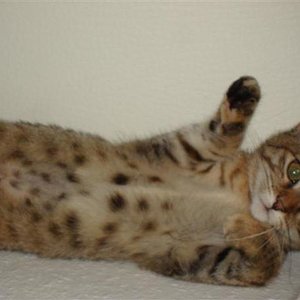 Was für ein süßer Bauch!