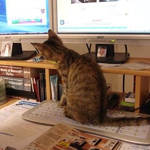 Sie interessiert sich für Computer. :)