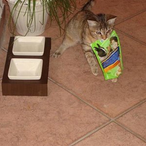 Ähhhh....das gehört eigentlich dem Hamster.