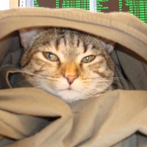 Du trägst T-Shirts?! :)