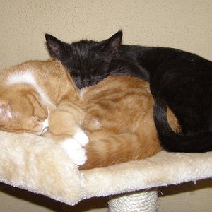 nochmal einzugstag...