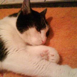 so sieht sie heute aus meine maus