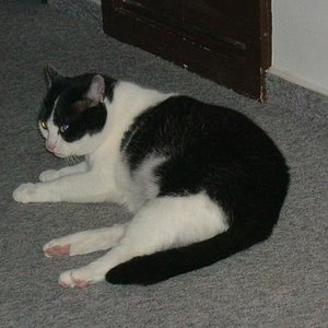 so sah mein dickerchen mal aus