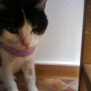 vielleicht erkennt man das hier die pupille verengt ist