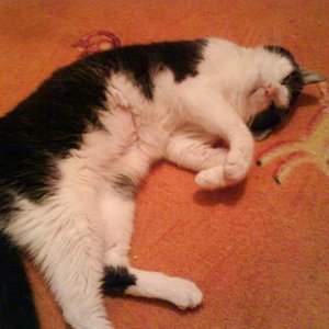 das sieht schon gemütlicher aus