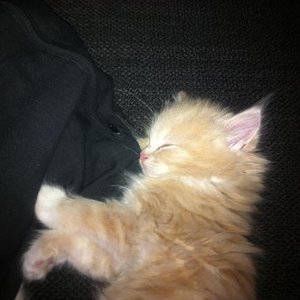 197713 3589162399968 384699321 n