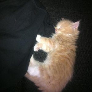 550426 3589161239939 1138667221 n