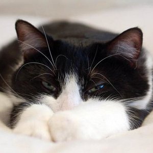 281335 144307182320066 100002223545639 264024 7508261 n