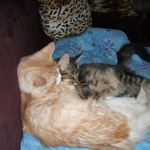 Quimby hat den Kleinen sofort adoptiert...ab da hatte Dosi keine Chance mehr ranzukommen :-)