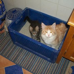 ...die beiden sind ein Herz und eine Seele...