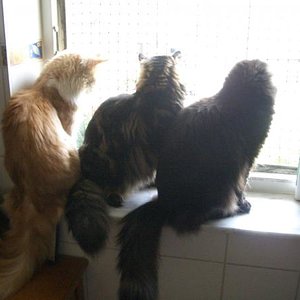 ...jetzt lieben sich alle drei...