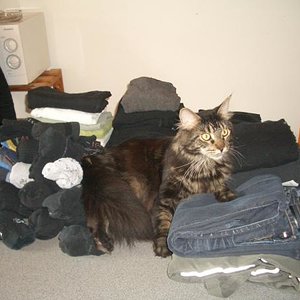 Danke für deine Hilfe Balu :-)