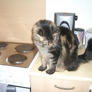 Jetzt ist mein Baby schon gross...und möchte dass Dosi futtert statt Fotos zu machen :-)