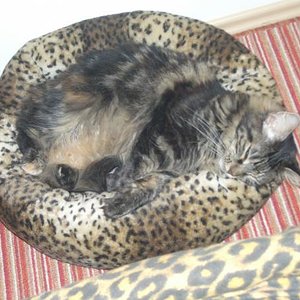 ...ich vermisse dich meine Prinzessin...