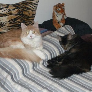 ....Quimby und Balu...