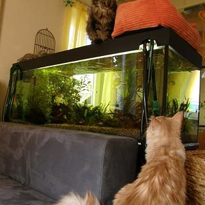 Wunderschönes Bild mit Skyla ( bei Mama und Mamas Kätzin)