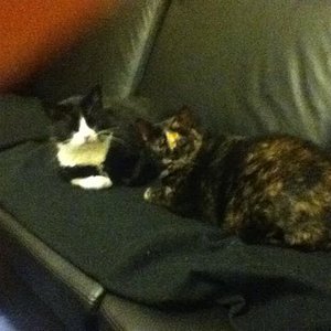 Der Blick sagt alles ,-))