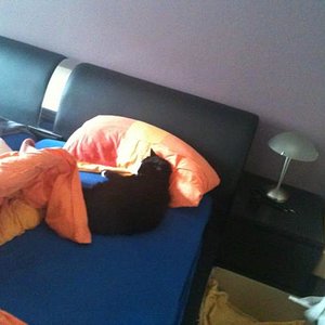 Na fehlt nur noch die Decke lol