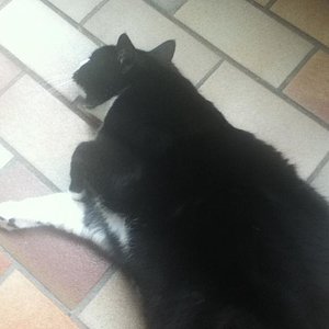 Ist schon sehr entspannend mal so durchgekneten zu werden. *lol*