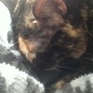 Im Arm kuschelt es sich am schönsten,-))