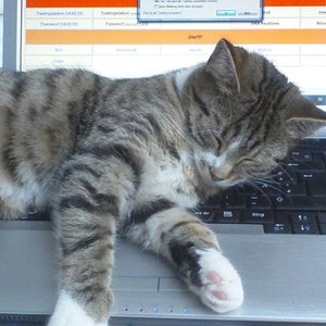 dieser laptop gehört mir !