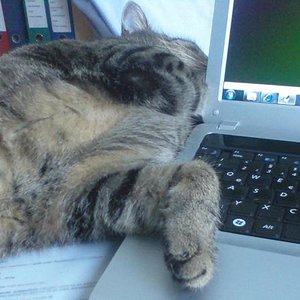 PC-Arbeiten können soooo langweilig sein