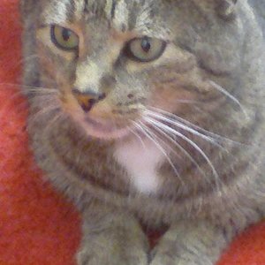 Tom ist meine kleine Seele, mein ein und alles.