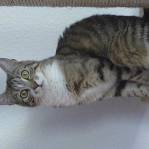 Das ist Maja mit einem Jahr!