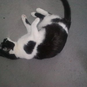 Nisha wenige Wochen vor Ihrem Tod im März´10