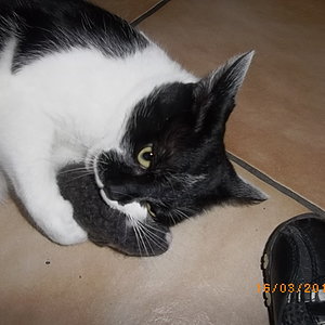 ... hab dich zum fressen gern