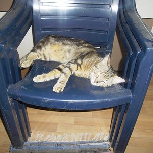 ... Gartenplatz rein geholt