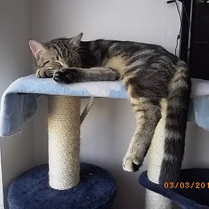 ... einfach mal hängen lassen