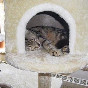 ... mit Dach über dem Kopf