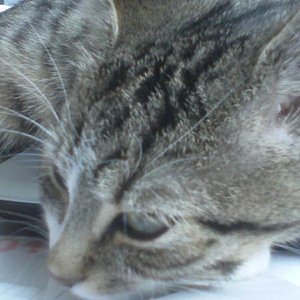 31 hier geht ich nicht mehr weg