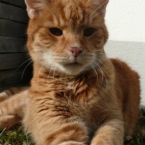 Vom ersten Moment hab ich mich in dieses Gesicht verliebt