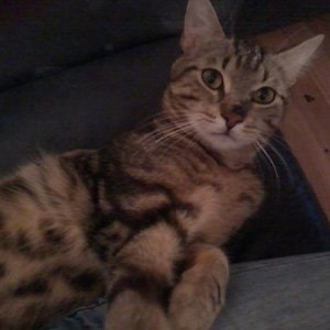 ... kurz vor der Bettzeit