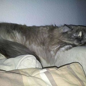 533164 320137838067269 714870071 n