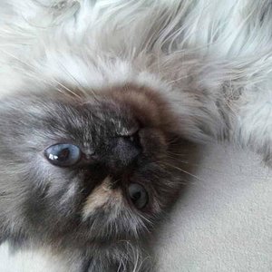 545151 323739154373804 1019393924 n