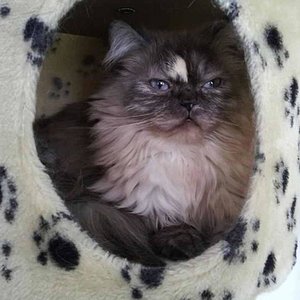 599023 326806694067050 546974375 n