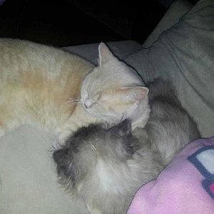 560577 306925456055174 1920391243 n