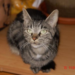 unsere kleinste und zierliche Minka