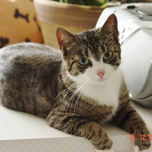 Unsere Mausi wie man sieht sehr kräftig