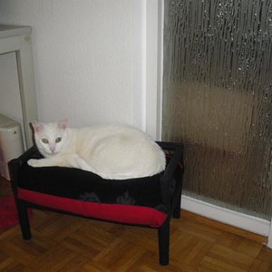 Fuzzy auf seinem Thron ;-)