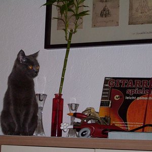 Peaches 007 (800x600)