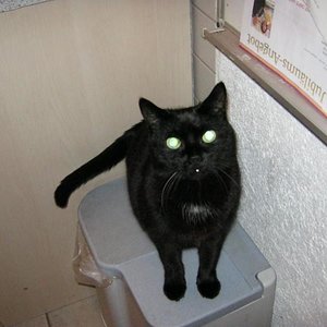 Betty: geb. ca. 1998, gest. 19.02.2012