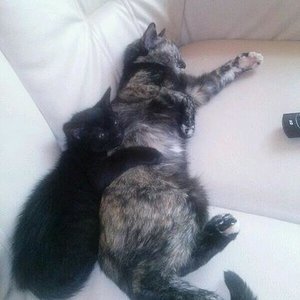 184418 474660509216265 65410987 n