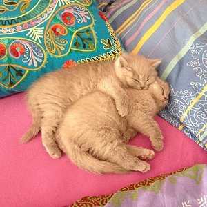 468262 3823525357266 1551701683 3152967 1162164241 o